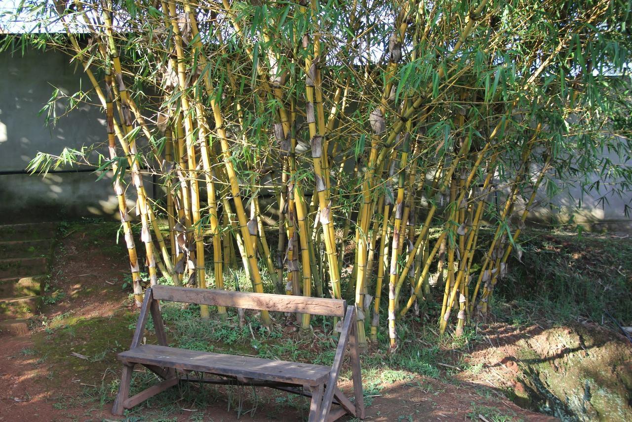 Banda Lodge Masaka المظهر الخارجي الصورة